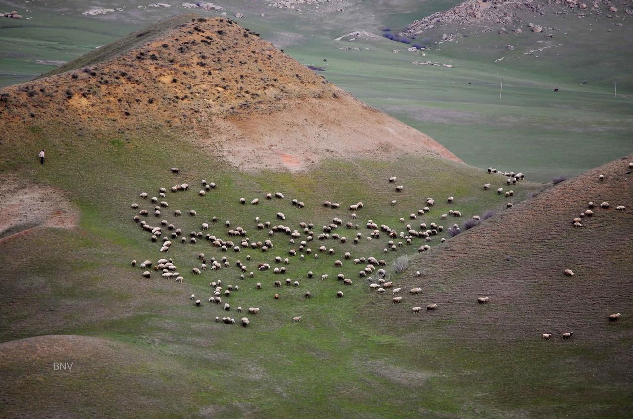 Savane Udabno Exterior photo