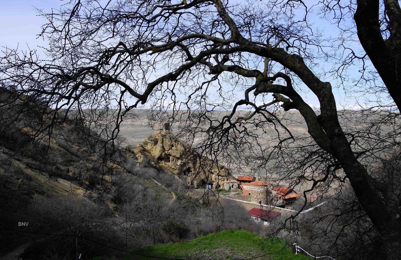 Savane Udabno Exterior photo