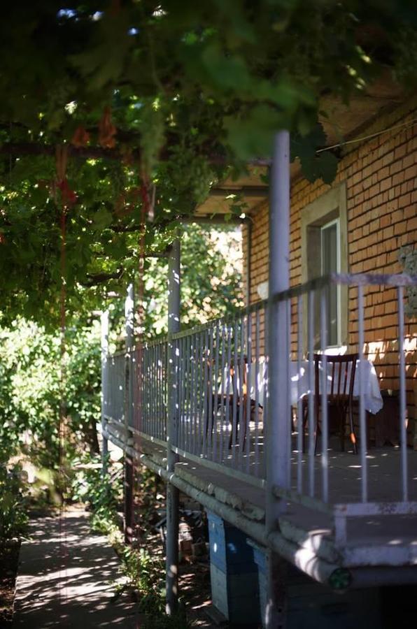 Savane Udabno Exterior photo